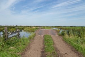 Natuurontwikkeling in de polder Demmerik