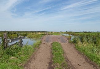 Natuurontwikkeling in de polder Demmerik