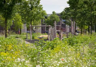 Technische uitwerking Papaverpark Amsterdam speelplek • Advies grondwerk, kruidenmengsels en beplantingen