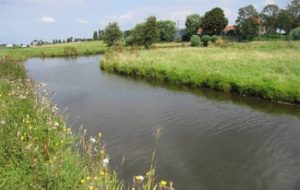 Plan natuur Voss Weerlanerpolder 2 (1) sedumdak akkerbouw groninger landschap ecologisch advies hopmans ecologie veehouderij stilleven veeteelt