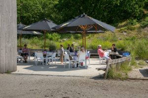 sedumdak akkerbouw groninger landschap ecologisch advies hopmans ecologie veehouderij stilleven veeteelt