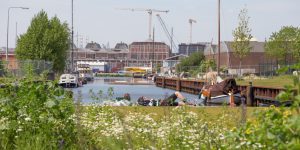 Technische uitwerking Papaverpark Amsterdam speelplek • Advies grondwerk, kruidenmengsels en beplantingen