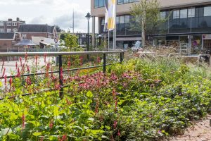 Ontwerp en raming centrum zeist