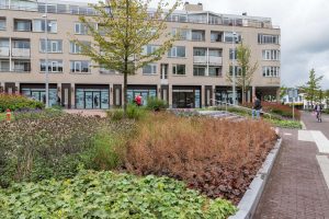 Project pleinen ontwerpen