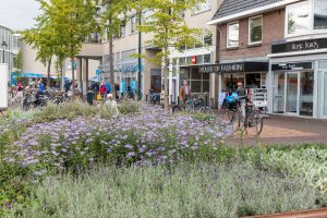 Ontwerp plein adviesburo