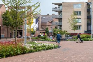 Pleinen ontwerp project