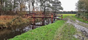 riet-wassergeest-wandelroute-bruggen-recreatie