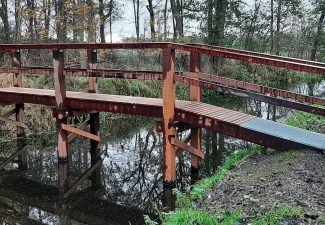 riet-wassergeest-wandelroute-bruggen-recreatie